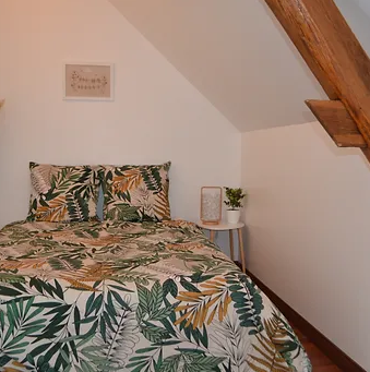 Photos